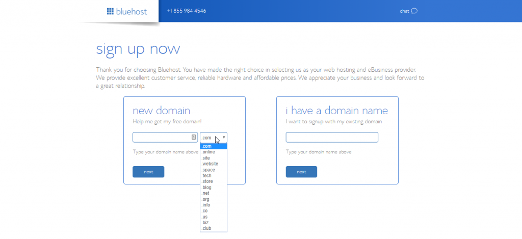 Bluehost domain name setup